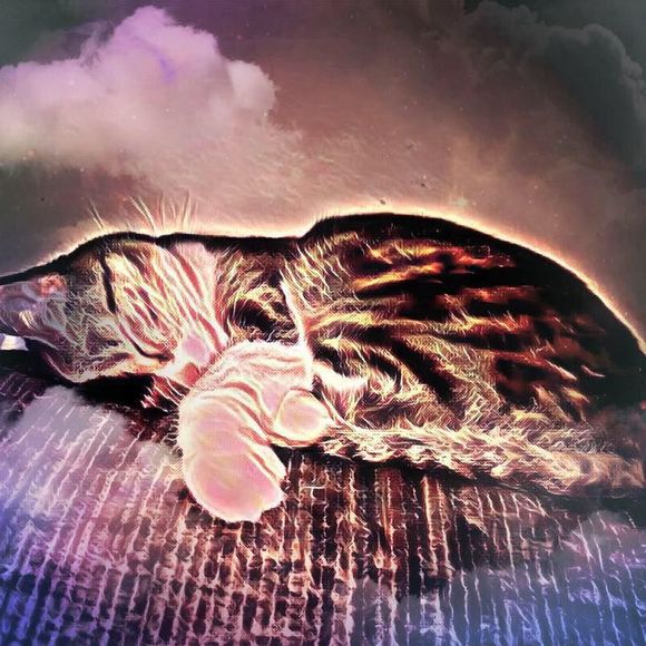 Meet your Posher, Chari - Picture 1 of 1